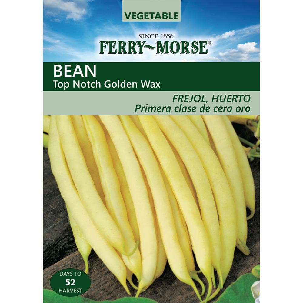 FerryMorse Beans Top Notch Golden Wax Bush Seed 1915 The Home Depot