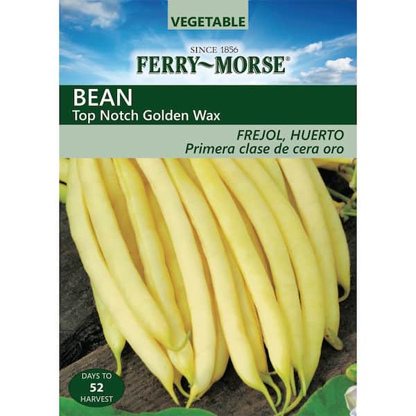 Ferry-Morse Beans Top Notch Golden Wax Bush Seed