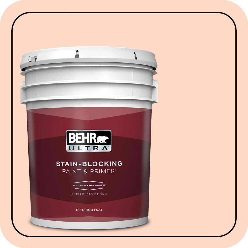 5 gal. #P190-1 Fire Mist Extra Durable Flat Interior Paint & Primer price history on PriceWatchPro