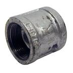 1/2 in. Galvanized Malleable Iron FPT x FPT Coupling Fitting