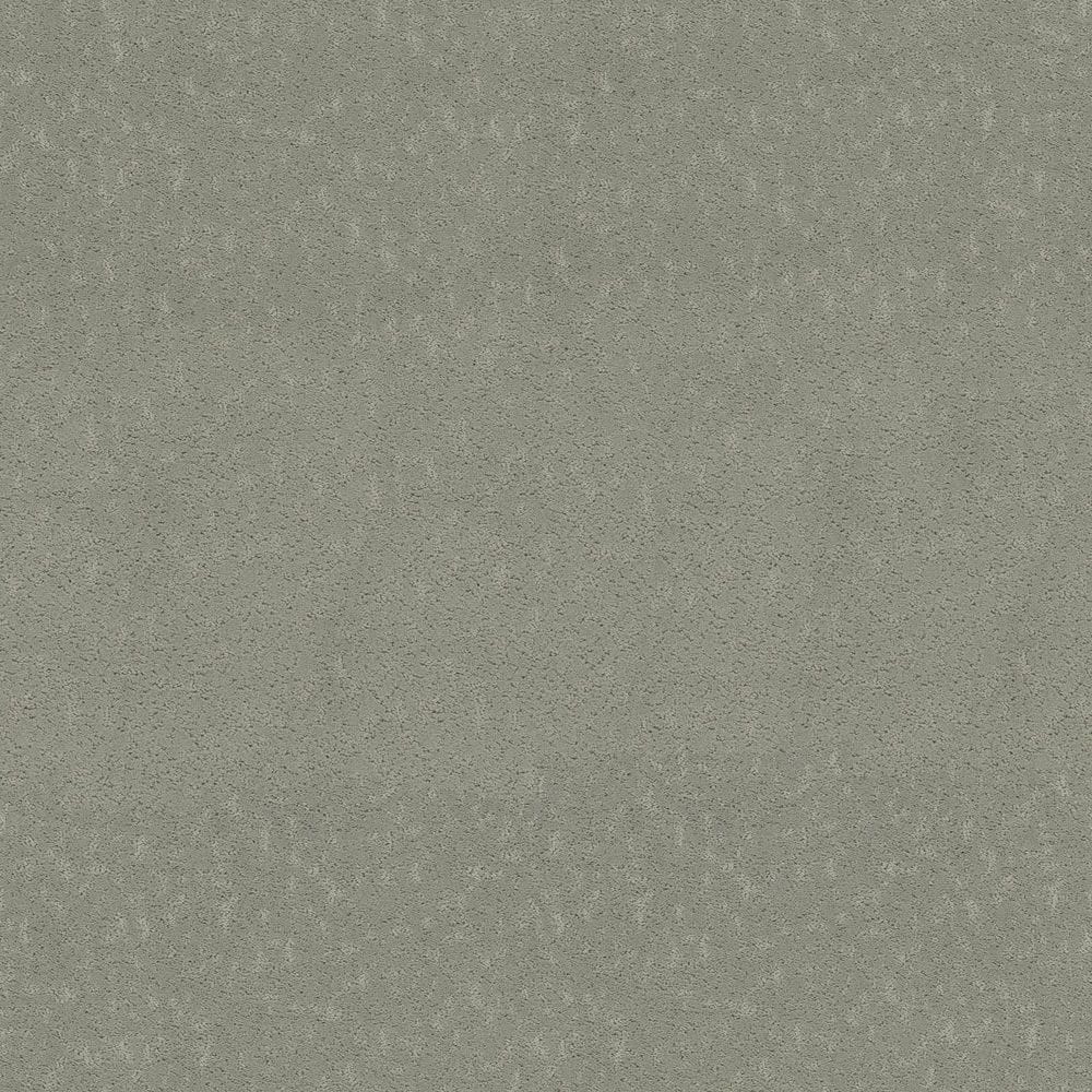 8 in. x 8 in. Pattern Carpet Sample - Pattern Plays - Color Moss Point price history on PriceWatchPro
