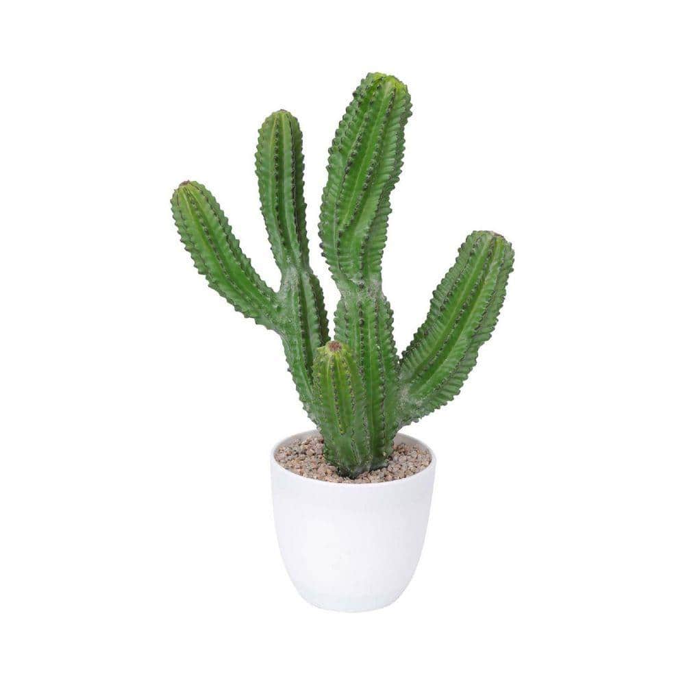 ブラータ CACTUS GREEN購入品 15 in. Green Indoor Artificial Cactus Succulent in Pot HDF99JJ7DB