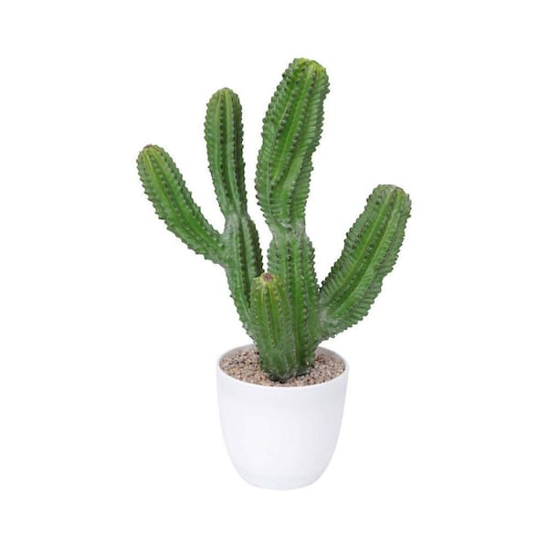 Unbranded 15 in. Green Indoor Artificial Cactus Succulent in Pot HDF99JJ7DB