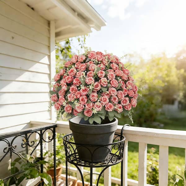 dracaena florida beauty Dracaena Florida Beauty (a) – Black Plant Lovers main image 1