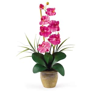 21 in. Artificial Phalaenopsis Silk Orchid Flower Arrangement in Dark Pink