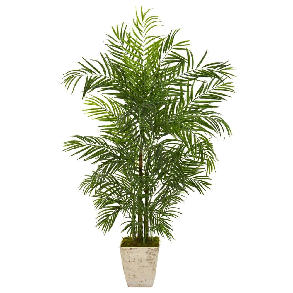 Reviews for Nearly Natural 63 in. Areca Artificial Palm Tree in Country