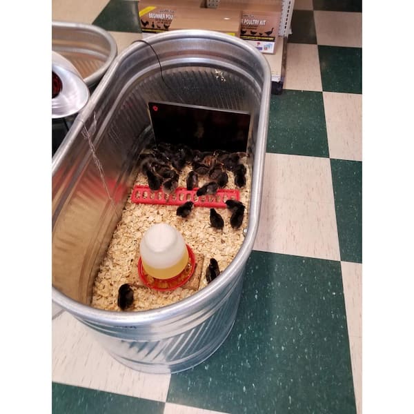 Producer's Pride Chicken Coop Brooder and Heater