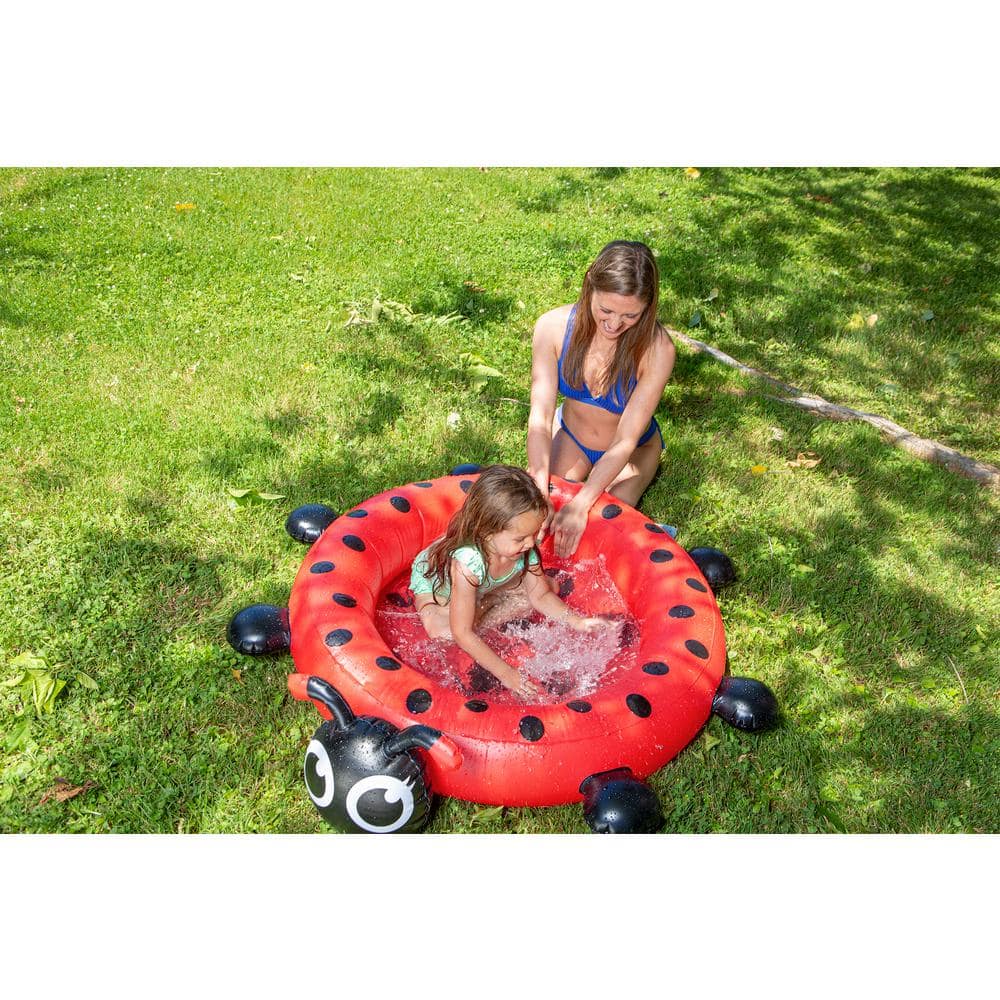 Ladybug Inflatable Round Kiddie Pool with Antennae
