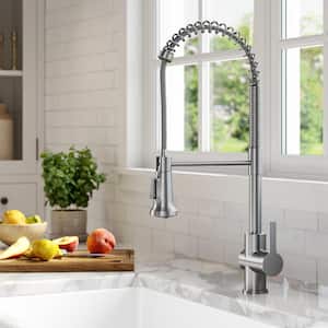 Britt Single-Handle Pull-Down Sprayer Kitchen Faucet in Spot Free Stainless Steel
