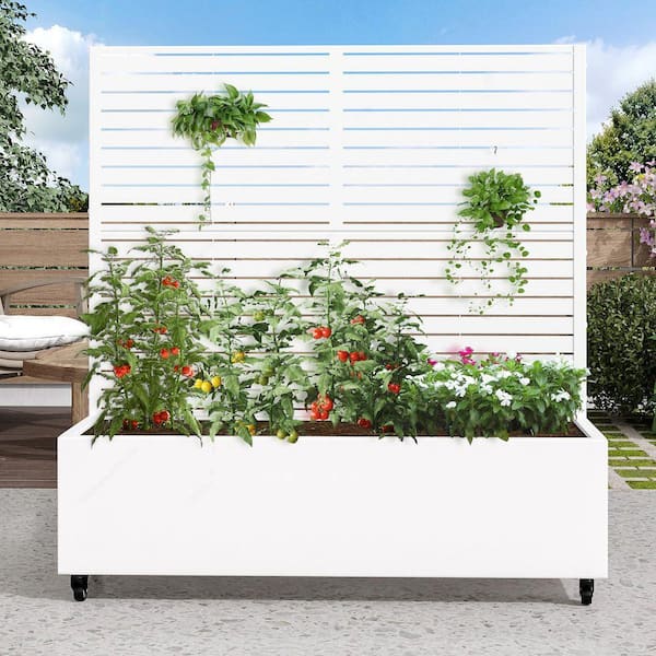 47 in. H x 47 in. W Rectanglar White Outdoor Metal Privacy Screen Planter Box Wall Decor