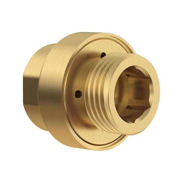 American Standard 1/2 in. In-line Vacuum Breaker for Hand Shower in Brushed Cool Sunrise