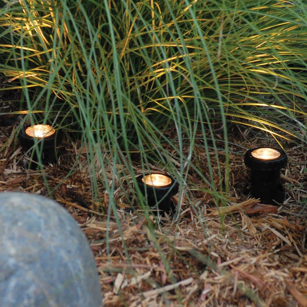 Black Low Voltage LED Pond and Landscape Light Set