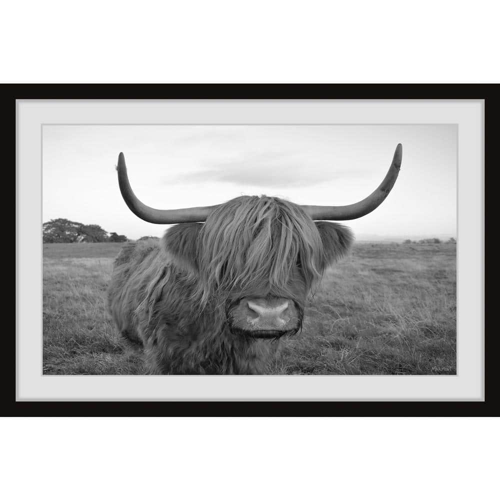 Covered Eyes by Marmont Hill Framed Animal Art Print 8 in. x 12 in.