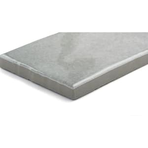 Passion Gris 3 in. x 8 in. Glossy Porcelain Wall Tile (3.92 sq. ft./Case)