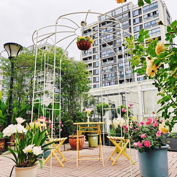 114.2 in. x 81.3 in. Metal Iron Garden Arch Birdcage Shape Pergola Pavilion Arbor for Outdoor Activity in White