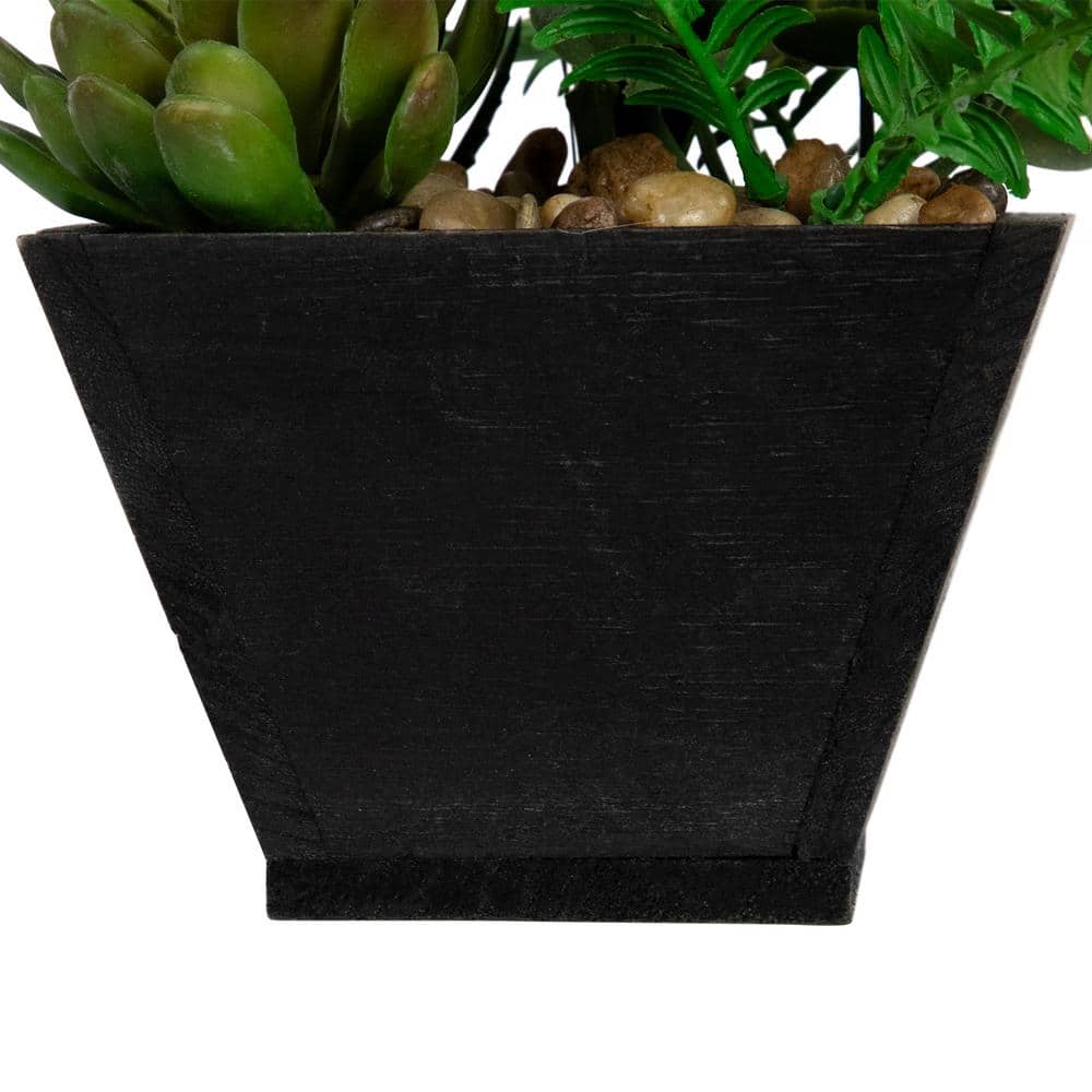 13" Potted White and Pink Orchid with Succulent Plants in Black Wooden Pot
