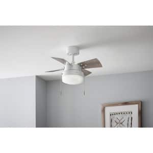 Metarie II 24 in. Indoor Matte White Ceiling Fan with Light