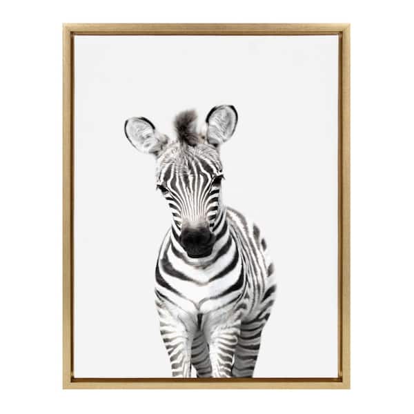 Kate and Laurel Sylvie "Animal Studio Zebra" by Amy Peterson Art Studio Framed Canvas Wall Art 18 in. x 24 in.