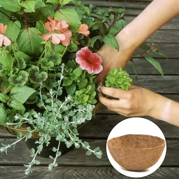 Mr. Garden 16in. Coconut Fiber Planter Liner Replacement For Hanging  Baskets Garden Flower Pot Vegetables Herbs(2-Pack) CLR16P2 - The Home Depot