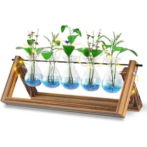 Plant Propagation Station, Plant Terrarium for Indoor 5 Bulb Vase with Fairy Lights