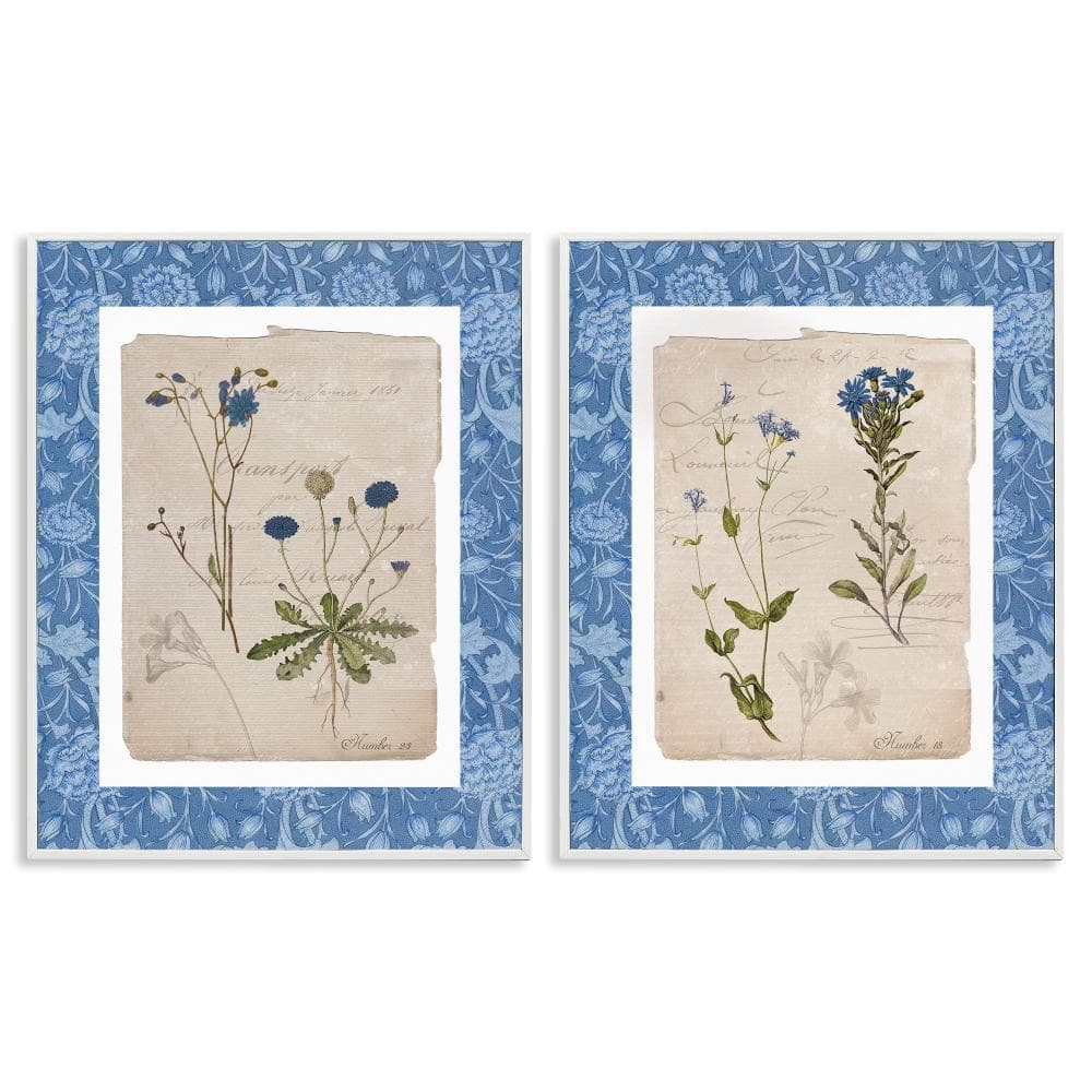 Blue Botanical Herbs 2 Piece White Framed Giclee Art Set, design by Livi Finn price history on PriceWatchPro
