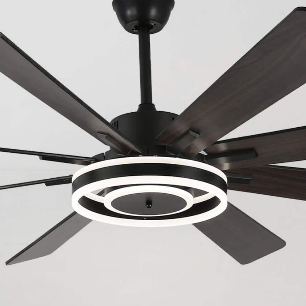 Belcarra 72-inch Black Plywood Ceiling Fan with LED Light and Remote