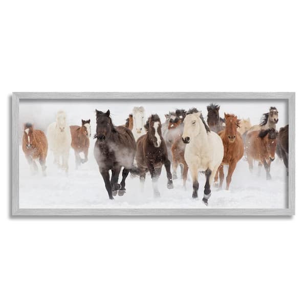 The Stupell Home Decor Collection Wild Horses Herd Foggy Winter Day Running Snow Painting by Danita Delimont Framed Animal Art Print 24 in. x 10 in.