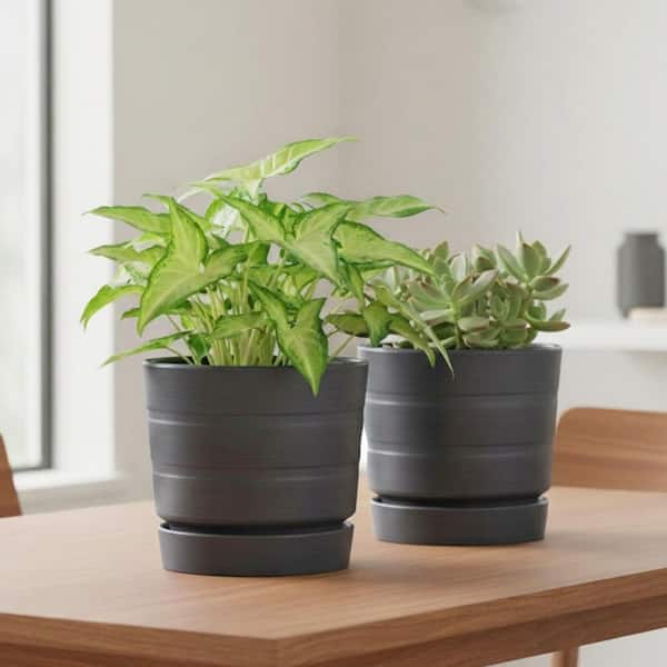 Lark & Vine Leith Charcoal Resin Recycled Materials Planter with