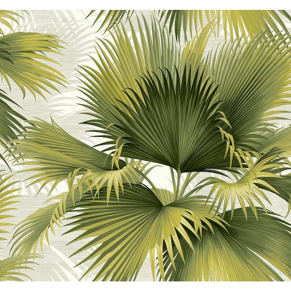 A-Street Prints Summer Palm Green Tropical Wallpaper Sample