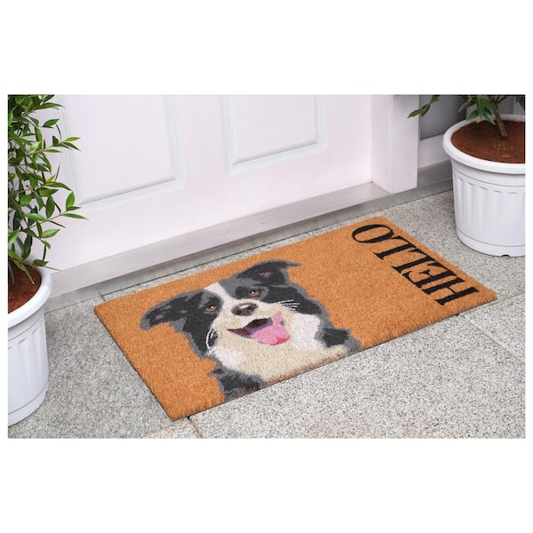 Black/White Border Collie Multi-Colored 17 in. x 29 in. Indoor or Outdoor Doormat