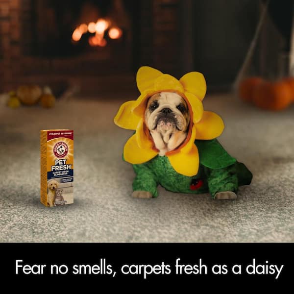 30 oz. Carpet and Room Pet Fresh Odor Eliminator