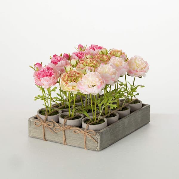 SULLIVANS 7.75 in. Artificial Potted Ranunculus Floral Arrangements in Crate of 12