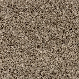 Household Hues II Tree Bark Brown 41 oz. Polyester Textured Installed Carpet