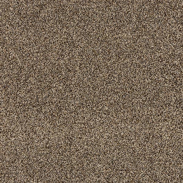 TrafficMaster Household Hues II Tree Bark Brown 41 oz. Polyester Textured Installed Carpet