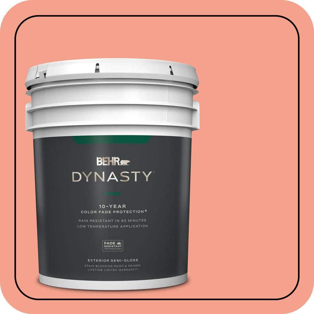 5 gal. Home Decorators Collection #HDC-MD-18 Peach Mimosa Semi-Gloss Enamel Exterior Stain-Blocking Paint & Primer price history on PriceWatchPro