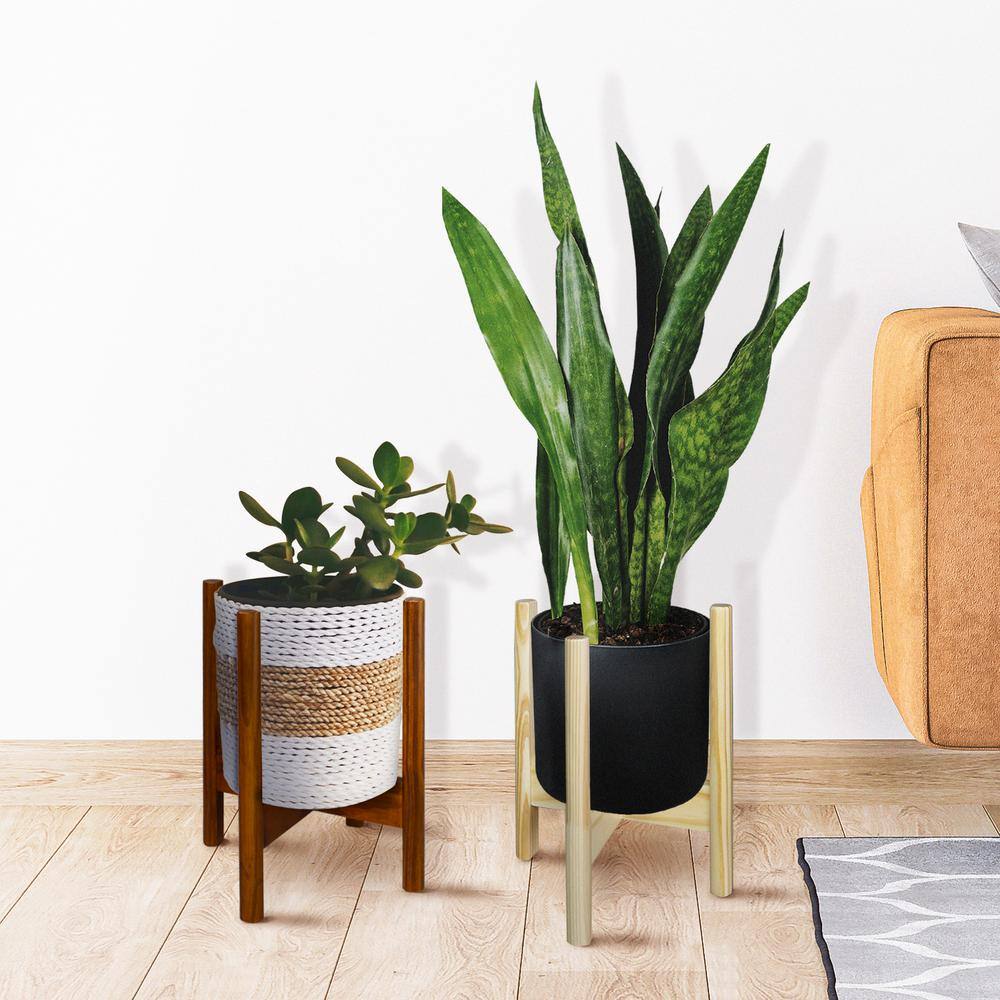 Natural Solid Wood Flippable Plant Display Stand, 10" W x 16" H