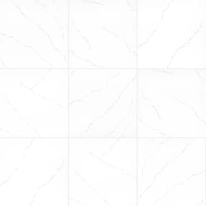 24 in. x 24 in. Miraggio Gray Porcelain Paver Floor Tile (8 Sq. Ft./Case)