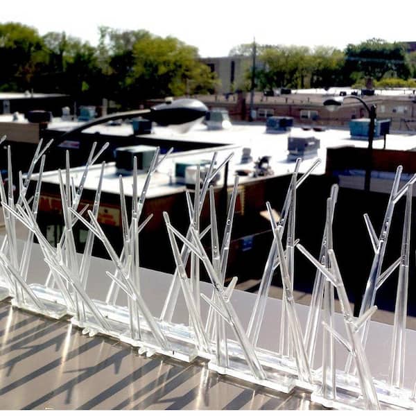  バード　 Dove Bird-X 50 ft. Original Plastic Bird Spikes Kit Pigeon