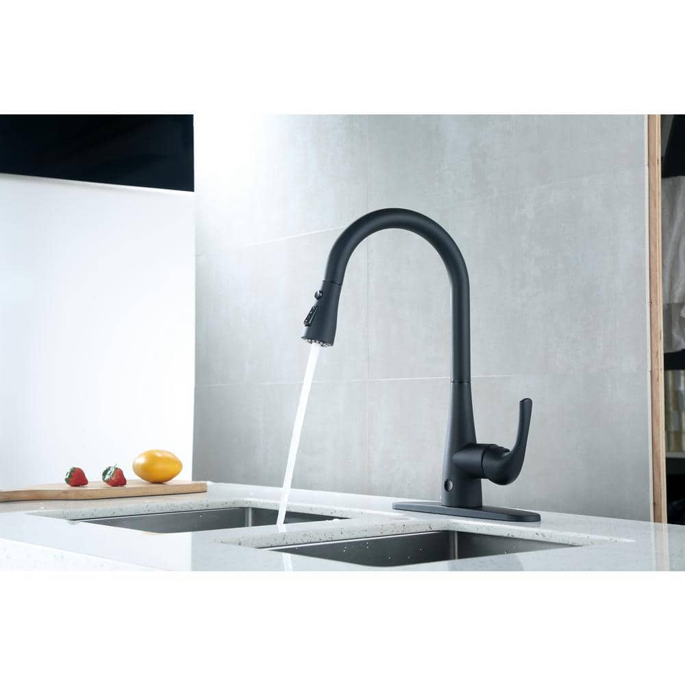 Leeds Matte Black Stainless Steel Pull-Down Kitchen Faucet
