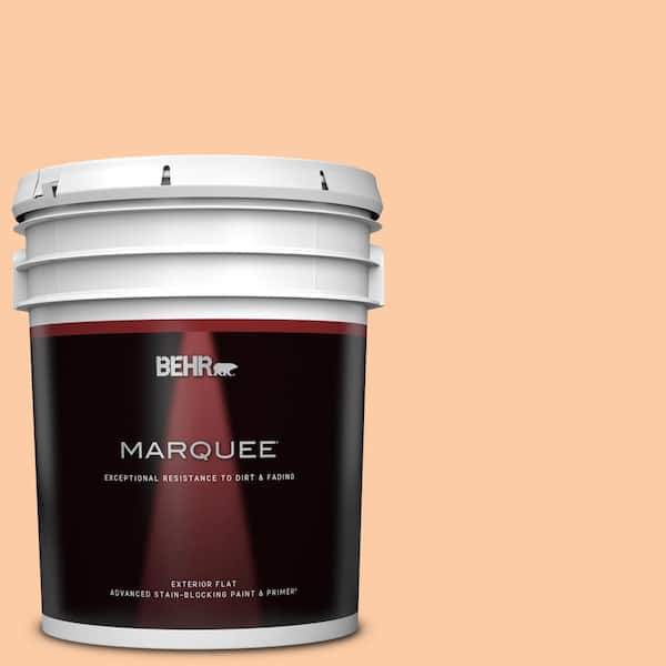 BEHR MARQUEE 5 gal. #270C-3 Coral Confection Flat Exterior Paint & Primer
