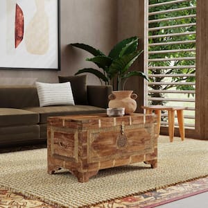 Nador 32 in. W Light Brown Rectangular Hand-Painted Wood and Brass Inlay Storage Trunk Coffee Table