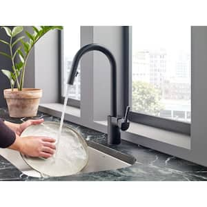 Align Single-Handle Pull-Down Sprayer Kitchen Faucet with Reflex and Power Clean in Matte Black