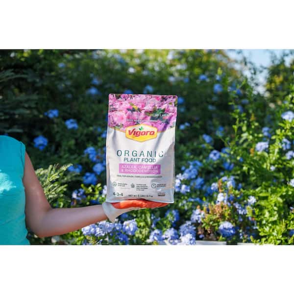 Vigoro 6 lb. Organic Azalea, Camellia, and Rhododendron Plant Food