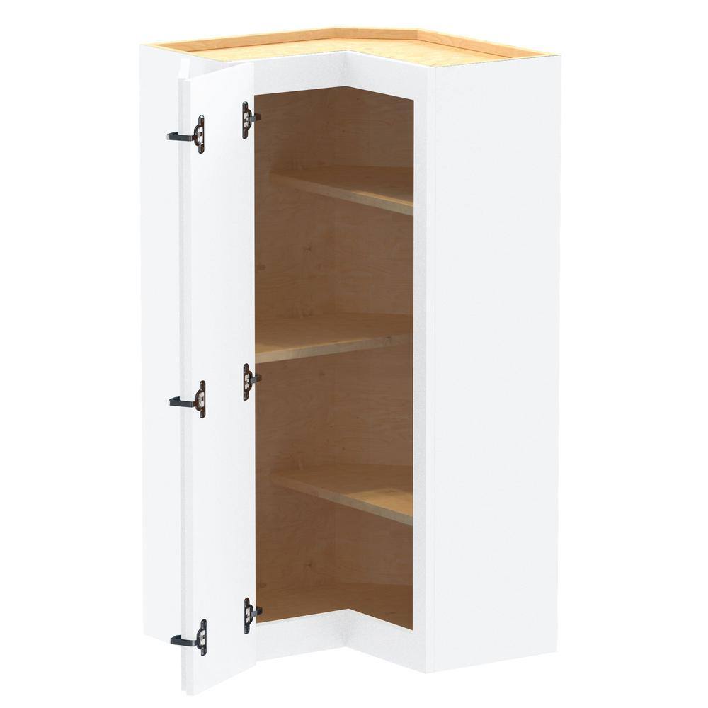 Newport 21 in. W x 21 in. D x 42 in. H in Pacific White Painted Plywood Assembled Wall Kitchen Corner Cabinet w Shelves