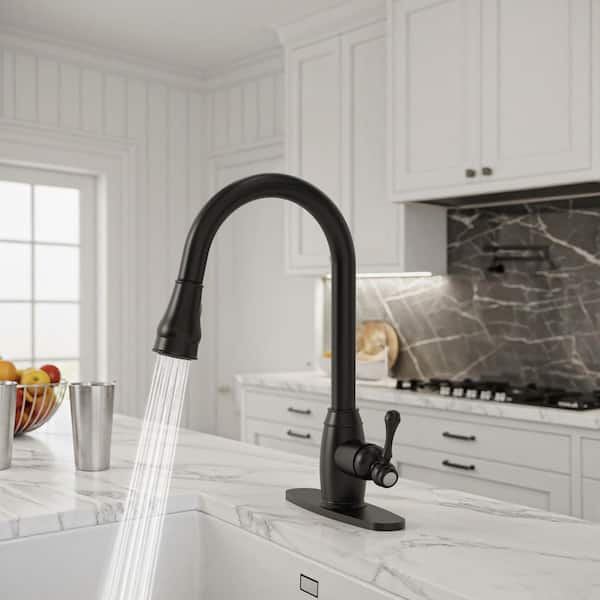 16. 6 in. Single Handle Pull Down Sprayer Hot and Cold Kitchen Faucet 360° Spout Swivel with Deckplate in Matte Black