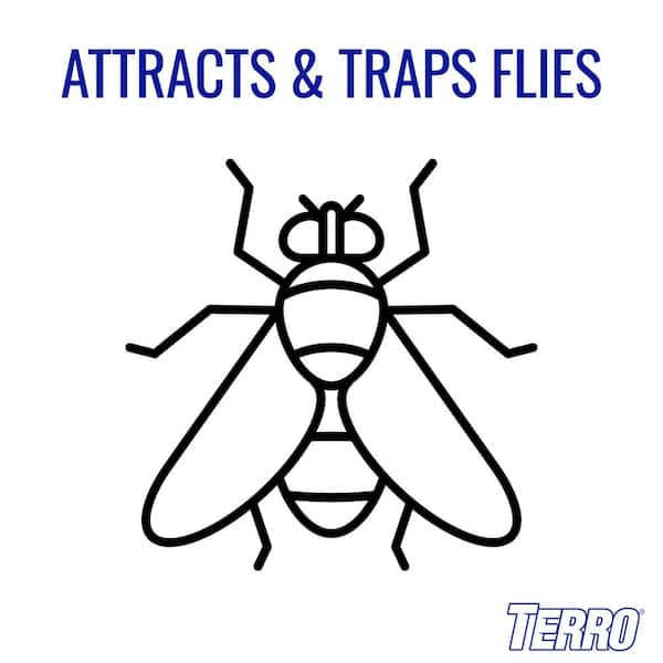 Enoz Trap-N-Kill Window Fly Traps for Indoor Houseflies, Nontoxic, Made in  USA, 4 Count