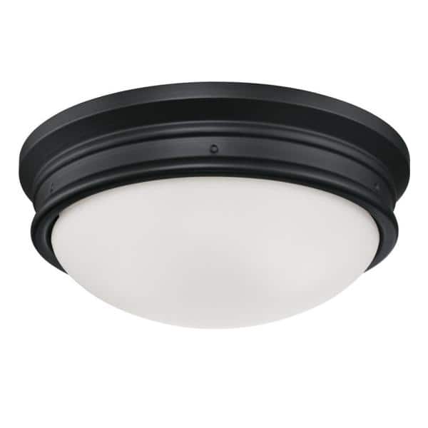 Matte Black Frosted Glass Traditional Wall Pack Light Fixture
