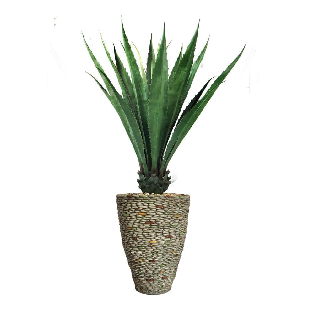 64.5 in. Agave, Indoor/Outdoor in Fiberstone Planter
