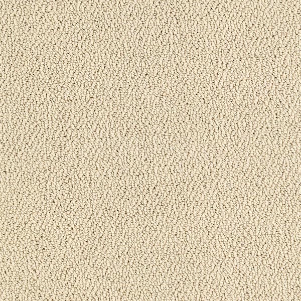 Lifeproof Lower Treasure - Color Moonbeam Loop Beige Carpet