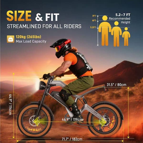 Zeus & Ruta 20 in. 750W Fat Tire 48V Removable Lithium Battery